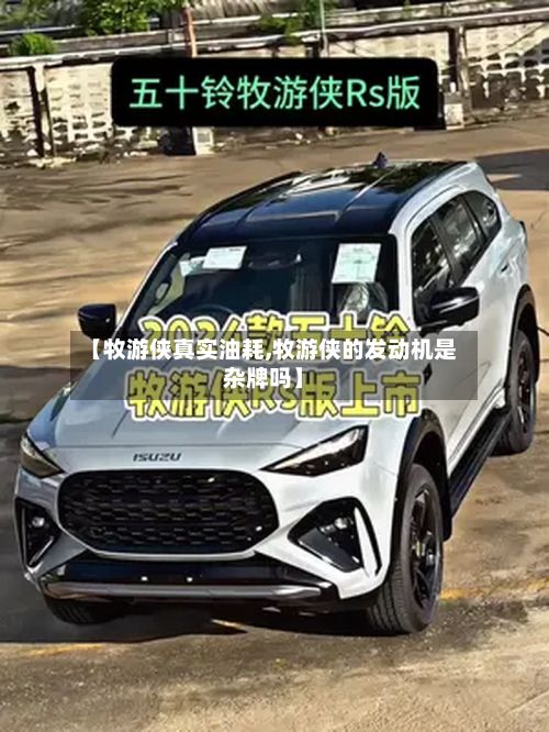 【牧游侠真实油耗,牧游侠的发动机是杂牌吗】