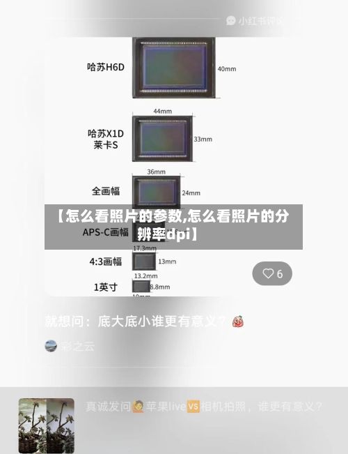 【怎么看照片的参数,怎么看照片的分辨率dpi】