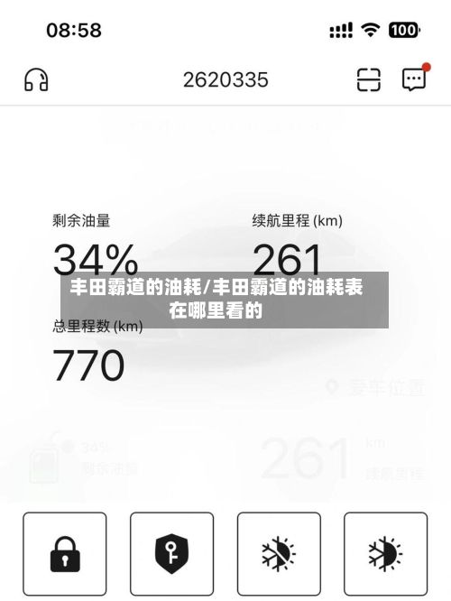 丰田霸道的油耗/丰田霸道的油耗表在哪里看的-第2张图片