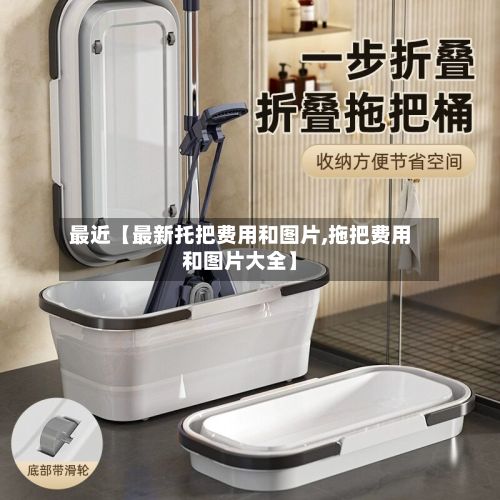最近【最新托把费用和图片,拖把费用和图片大全】-第2张图片