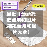 最近【最新托把费用和图片,拖把费用和图片大全】