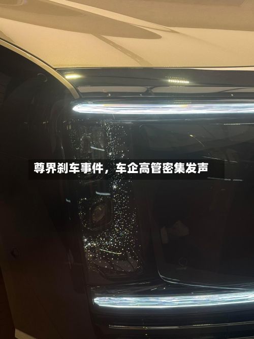 尊界刹车事件，车企高管密集发声-第3张图片