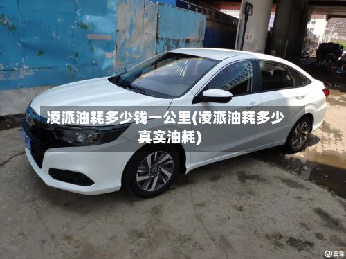 凌派油耗多少钱一公里(凌派油耗多少真实油耗)-第3张图片