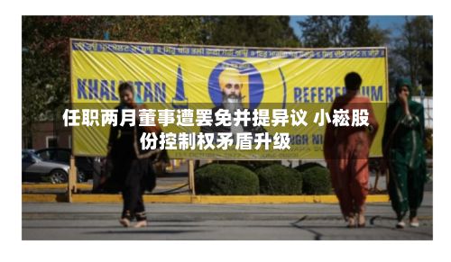 任职两月董事遭罢免并提异议 小崧股份控制权矛盾升级