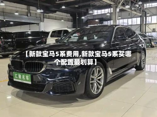 【新款宝马5系费用,新款宝马5系买哪个配置最划算】-第2张图片