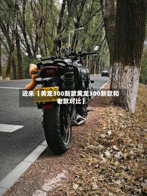 近来【黄龙300新款黄龙300新款和老款对比】-第2张图片