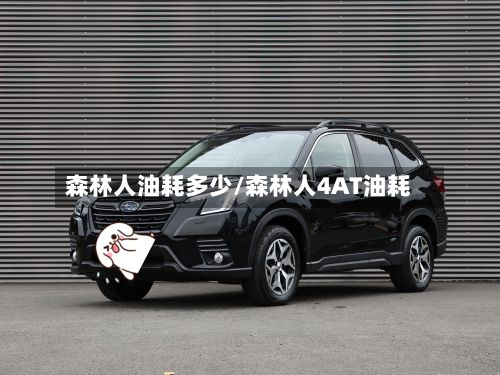 森林人油耗多少/森林人4AT油耗