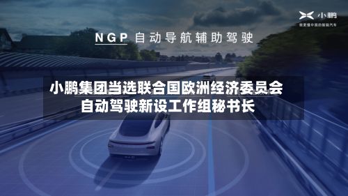 小鹏集团当选联合国欧洲经济委员会自动驾驶新设工作组秘书长-第2张图片