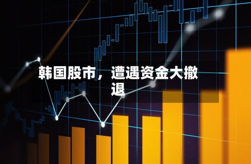 韩国股市，遭遇资金大撤退-第2张图片