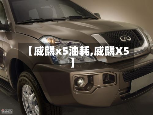 【威麟x5油耗,威麟X5】