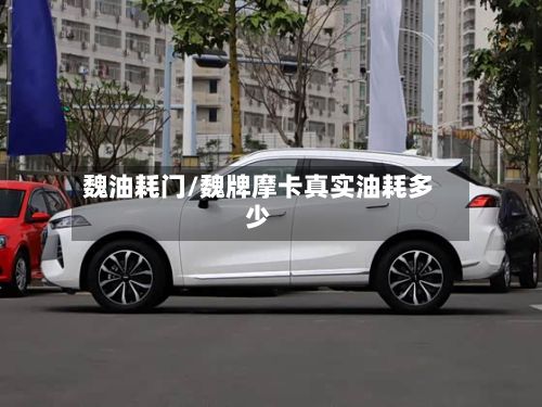 魏油耗门/魏牌摩卡真实油耗多少