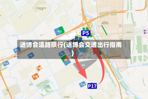 进博会道路限行(进博会交通出行指南)