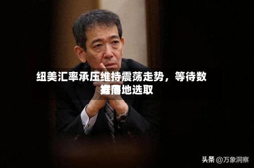 纽美汇率承压维持震荡走势，等待数据落地选取方向-第2张图片