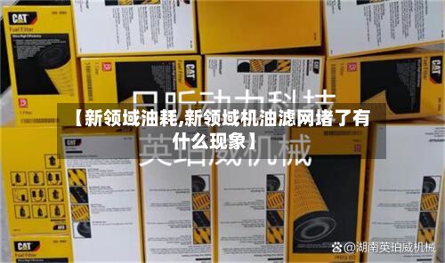【新领域油耗,新领域机油滤网堵了有什么现象】-第2张图片