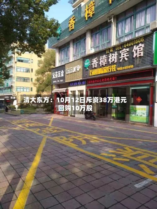 清大东方：10月12日斥资38万港元回购10万股-第2张图片
