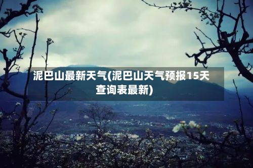 泥巴山最新天气(泥巴山天气预报15天查询表最新)-第2张图片