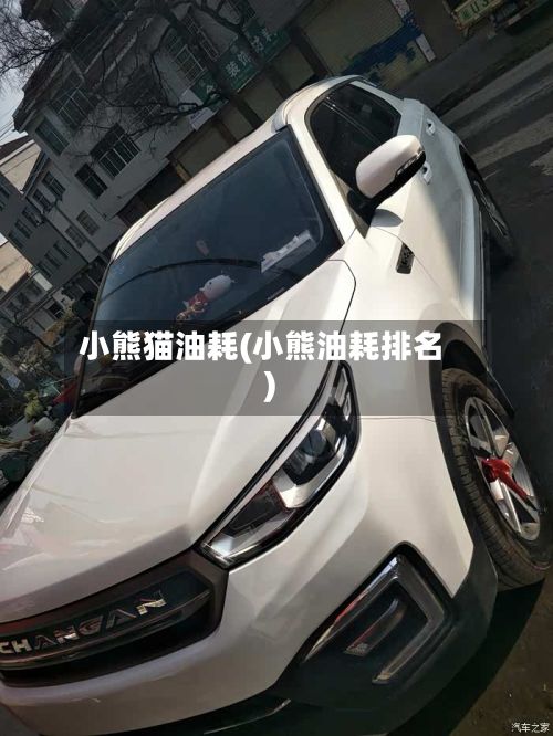 小熊猫油耗(小熊油耗排名)-第2张图片