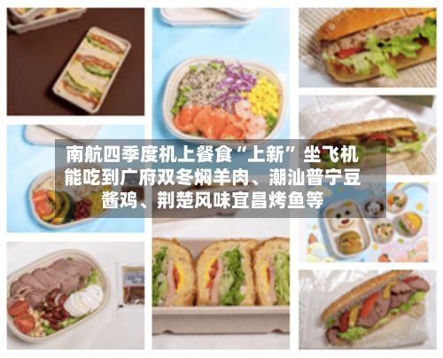 南航四季度机上餐食“上新	” 坐飞机能吃到广府双冬焖羊肉	、潮汕普宁豆酱鸡、荆楚风味宜昌烤鱼等-第2张图片