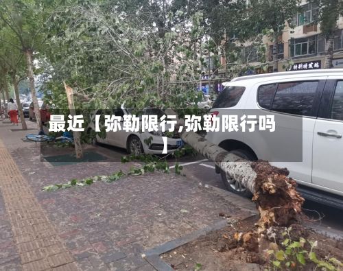 最近【弥勒限行,弥勒限行吗】-第2张图片