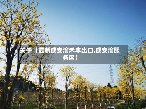 关于【最新成安渝禾丰出口,成安渝服务区】-第2张图片