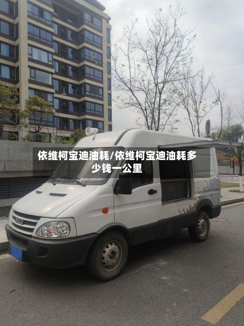 依维柯宝迪油耗/依维柯宝迪油耗多少钱一公里
