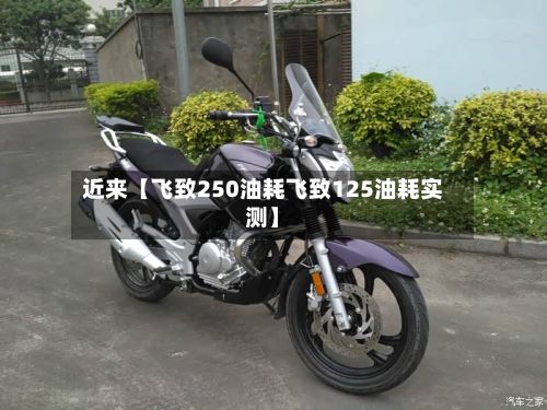 近来【飞致250油耗飞致125油耗实测】