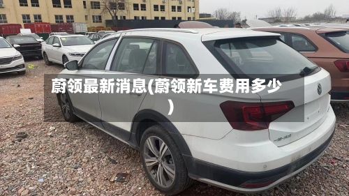 蔚领最新消息(蔚领新车费用多少)