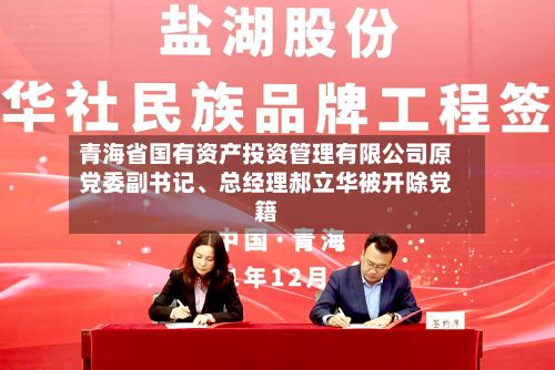 青海省国有资产投资管理有限公司原党委副书记、总经理郝立华被开除党籍-第2张图片