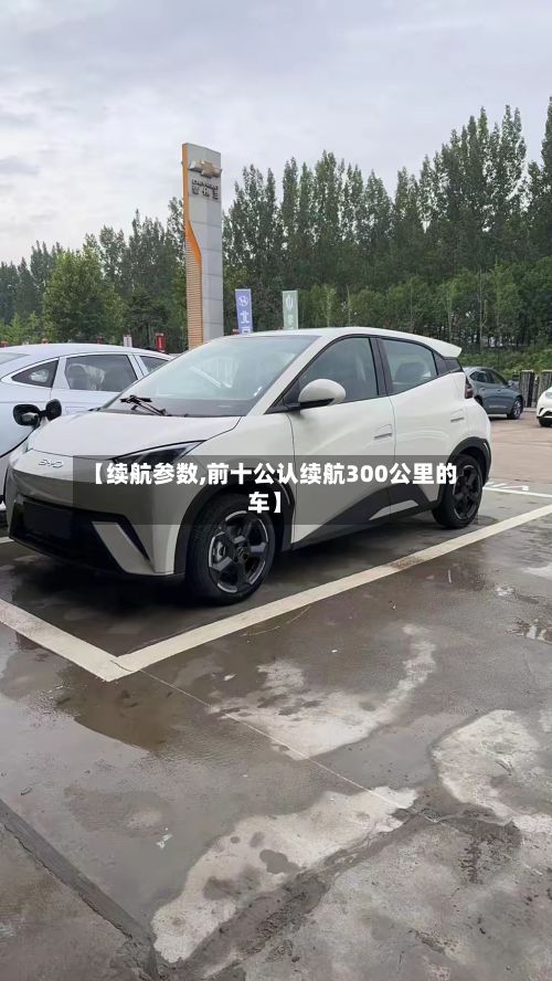 【续航参数,前十公认续航300公里的车】