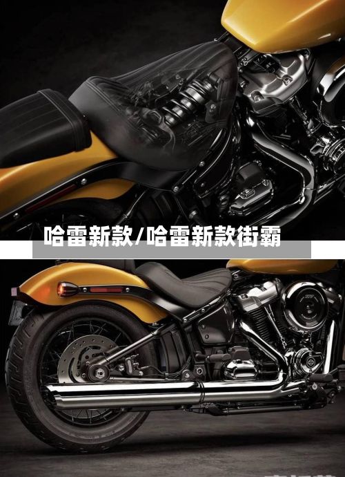 哈雷新款/哈雷新款街霸-第3张图片