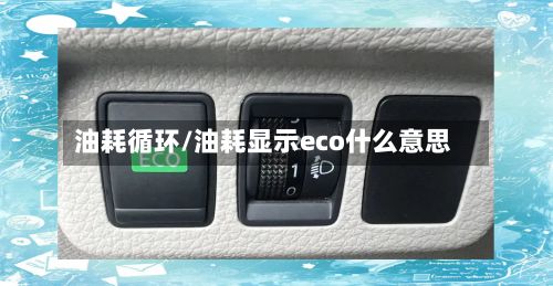 油耗循环/油耗显示eco什么意思
