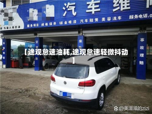 【途观怠速油耗,途观怠速轻微抖动】-第2张图片