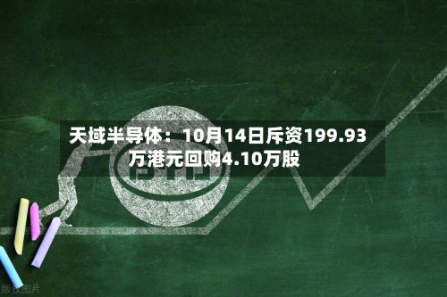 天域半导体：10月14日斥资199.93万港元回购4.10万股
