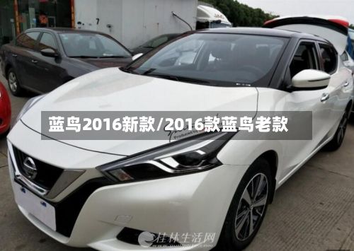 蓝鸟2016新款/2016款蓝鸟老款