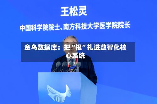 金乌数据库：把“根”扎进数智化核心系统-第3张图片