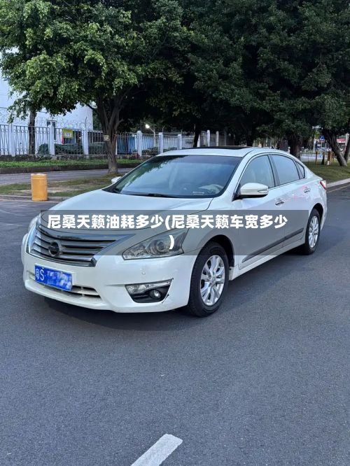 尼桑天籁油耗多少(尼桑天籁车宽多少)