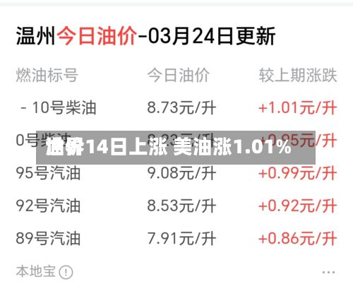 世界油价14日上涨 美油涨1.01%-第2张图片