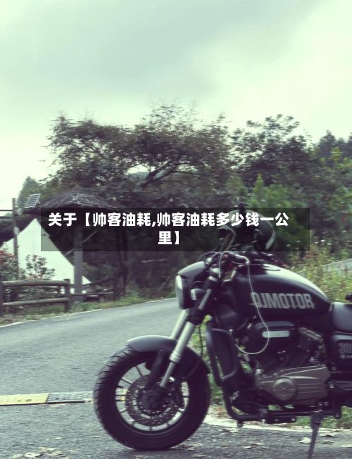 关于【帅客油耗,帅客油耗多少钱一公里】