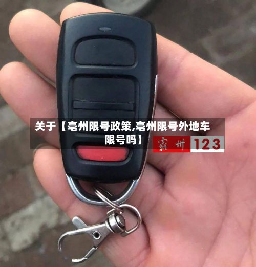 关于【亳州限号政策,亳州限号外地车限号吗】-第2张图片