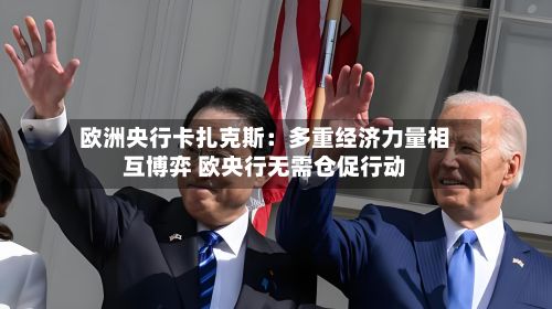 欧洲央行卡扎克斯:多重经济力量相互博弈 欧央行无需仓促行动-第3张图片