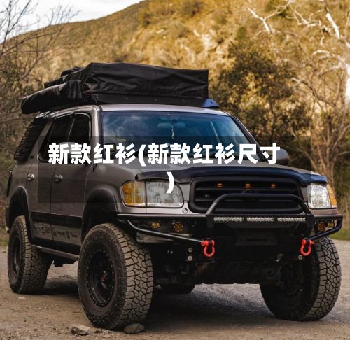 新款红衫(新款红衫尺寸)