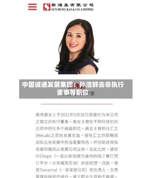 中国诚通发展集团:孙洁辞去非执行董事等职位-第2张图片