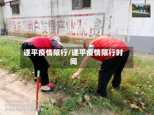 遂平疫情限行/遂平疫情限行时间-第2张图片