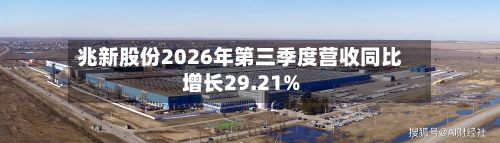 兆新股份2026年第三季度营收同比增长29.21%