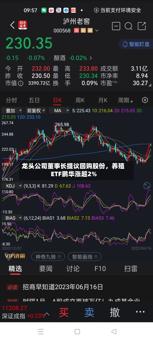 龙头公司董事长提议回购股份	，养殖ETF鹏华涨超2%-第2张图片