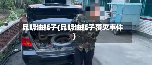 昆明油耗子(昆明油耗子覆灭事件)