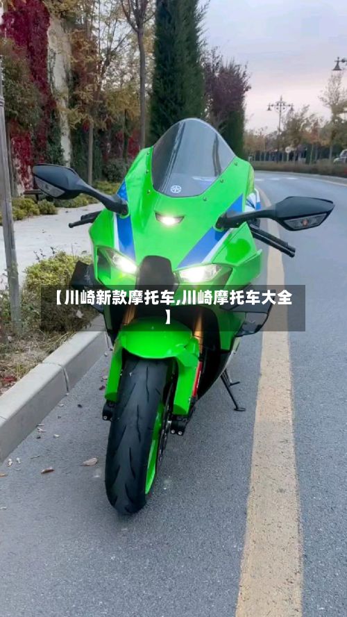 【川崎新款摩托车,川崎摩托车大全】-第2张图片