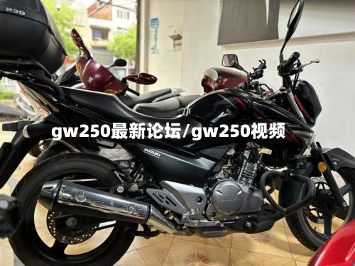 gw250最新论坛/gw250视频-第3张图片