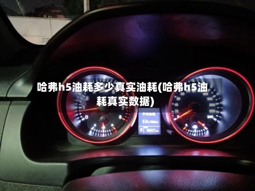哈弗h5油耗多少真实油耗(哈弗h5油耗真实数据)-第2张图片