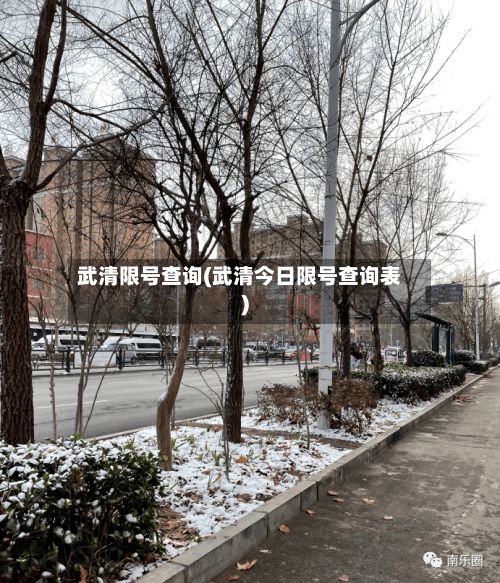 武清限号查询(武清今日限号查询表)